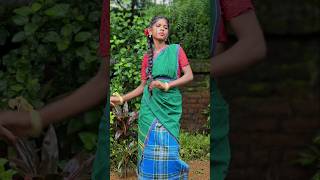 New Santali 3D song video 2024 [upl. by Weikert665]