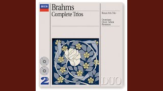 Brahms Piano Trio No 1 in B Op 8 3 Adagio [upl. by Shaughn897]