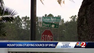 Mount Dora studying source of smell [upl. by Reger208]