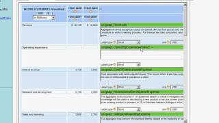 SmartXBRL XBRL Tag Reviewing and Editing Process [upl. by Neron]