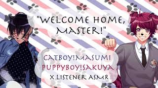 Catboy Masumi amp Puppyboy Sakuya x Listener ASMR  A3 Act Addict Actors [upl. by Standish]