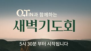 20241116 토  큐티인  사무엘상 10116  새 사람이 되리라  류명기 초원지기  우리들교회 새벽기도회 [upl. by Toland713]