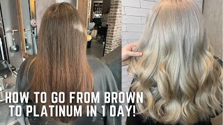 How to go from Brown to Platinum in one day  color correction tutorial transformation demi hair dye [upl. by Durer]