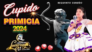 EL CUPIDO AGRUPACION LUCIERNAGA PRIMICIA 2024 LAURITA ROY LARICO EXITO Y VIDEO VIRAL [upl. by Deenya424]