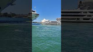 In Sydneys porta small ferry does a reverse turn close to a cruise shipJourneysofflimits [upl. by Aramanta]