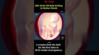 28 Week 5 Days Old Healthy Baby Kicking In Mother Womb 👶❤ mom feels Kicking in 2022 weeks pregnancy [upl. by Etnuaed831]