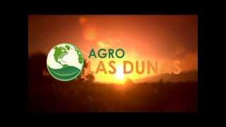 ✔ Agro Las Dunas [upl. by Averil467]