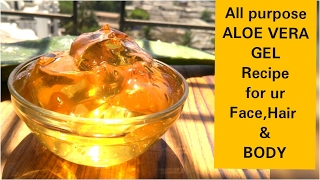 अपने घर पर ही ALOE VERA GEL जेल तैयार कीजिए Aloe Vera All Purpose GelAloe Vera Gel Dr Shalini [upl. by Hammerskjold]