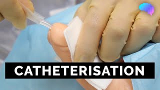 Catheterisation  OSCE Guide  UKMLA  CPSA [upl. by Arleen]