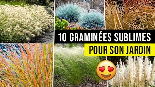 10 idées de GRAMINÉES Magnifiques pour Jardin  Facile et peu dentretien [upl. by Nyloj]