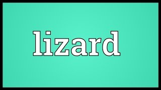 Lizard Meaning [upl. by Judson]