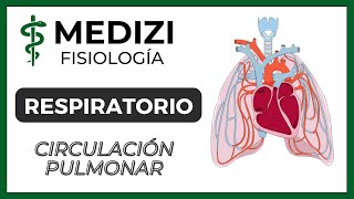 Clase 38 Fisiología Respiratoria  Circulación Pulmonar Edema Pulmonar IGdoctorpaiva [upl. by Chema507]