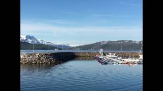 Olderhamna småbåthavn på Finnsnes i Lenvik kommune [upl. by Dickson]