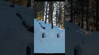 warmth in igloos  How igloo works facts viralvideo [upl. by Papagena]