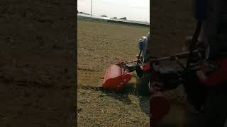 Mini tractor agrícola trabajando preparación de tierra maquinaria y equipo agricultura [upl. by Tnecnev]