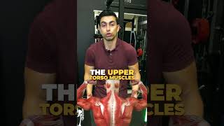 🔥The BEST Way To Burn Love Handles Fat [upl. by Bonilla]