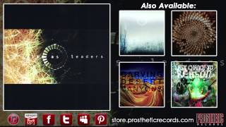 Animals As Leaders  Track Nine  Inamorata [upl. by Eintihw]