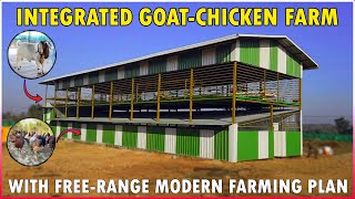 Integrated Goat and Poultry Farming Shed  Simple Integrated  Free Range Goat and Chicken Farm [upl. by Joice]