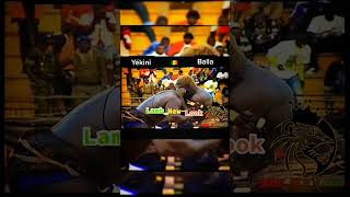 balla gaye 2 vs yekini 2012 combat 🤼‍♂️ ROYALE 👑 🇸🇳 shorts abonnés vous [upl. by Llehsor549]