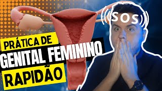 Aula Prática de Sistema Genital Feminino [upl. by Vanna]