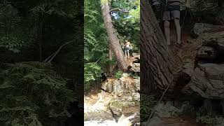 choke creek falls rope leap of faith [upl. by Oynotna]