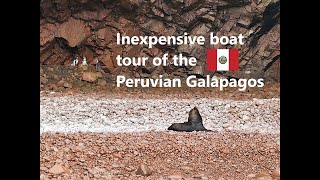 The Beauty of the Ballestas Islands and Paracas National Reserve [upl. by Leirbaj581]