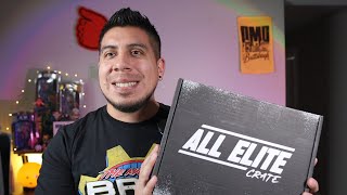 All Elite Crate July 2024  AEW All Out Mystery Box Unboxing [upl. by Neivad]