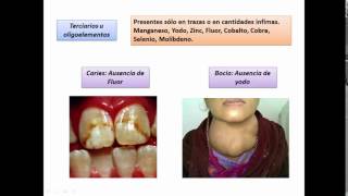 Clase bioelementos [upl. by Pickering438]