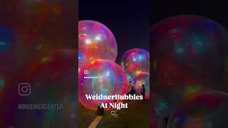 But Have You Seen The Weidner Bubbles at Night  Evanescent  TheWeidner [upl. by Esinereb]