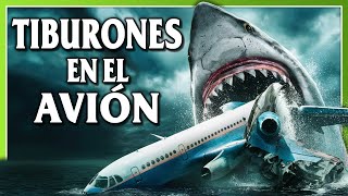 TIBURONES en el AVIÓN  No Way Up [upl. by Ennaj]