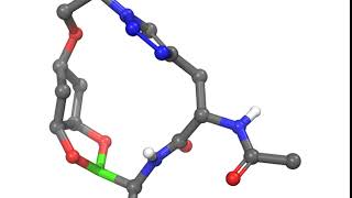 Boronic esterlinked macrocycles as warheads against serine proteases [upl. by Annairdua554]