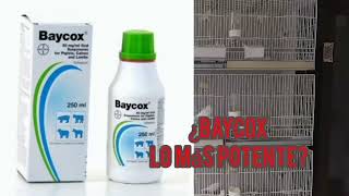 ¿BAYCOX ES EL ANTIPARASITARIO MAS POTENTE PARA AVES [upl. by Segroeg]