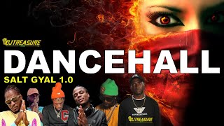 Dancehall Mix 2024 Clean Dancehall Songs 2024 │ SALT GYAL Masicka Chronic Law Alkaline Valiant [upl. by Haduj972]