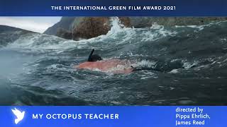 My Octopus Teacher Trailer  Cinema for peace 2021 [upl. by Quintessa]