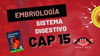 CAP 15SISTEMA DIGESTIVOEMBRIOLOGÍA MÉDICA DE LANGMANRESUMENPODCAST [upl. by Lillian651]