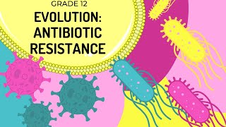 ANTIBIOTIC RESISTANCE  How natural selection occurs today and results in evolution [upl. by Theall206]