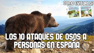 Los 10 ataques de Osos en España  Como evitar ataques de osos [upl. by Lilllie]