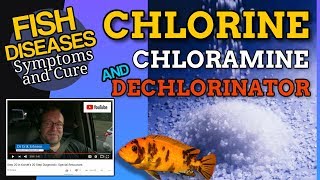 What is Chlorine and How to Dechlorinate [upl. by Krista]