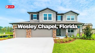 Epperson Lagoon in Wsley Chapel Florida Community Update and Home Tour [upl. by Robers644]