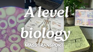 A level biology edexcel a SNAB Topic 1 Mass Transportation [upl. by Atkins]