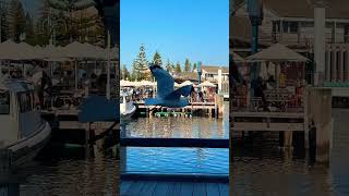 Fremantle a popular destination for both locals and tourists offering a different pace [upl. by Romeon]