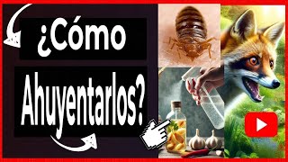 🔴 Cómo AHUYENTAR ANIMALES no deseados Parte 2 [upl. by Trembly]