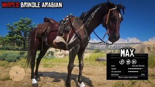 The Most Beautiful Arabian in Red Dead Redemption 2  Warped Brindle Arabian  RDR2  PS4 Slim [upl. by Asyram353]