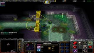 Warcraft 3 TFT  Profligacy 1 [upl. by Damian]