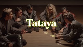 Cup of Joe  Tataya Official Lyric Visualizer [upl. by Amzaj]