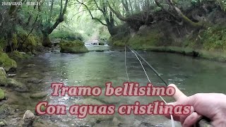 Pesca en rio de agas cristlinas y paisajes de ensueño [upl. by Ettezus]