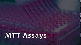 MTT Assay for Cell Viability [upl. by Baynebridge]