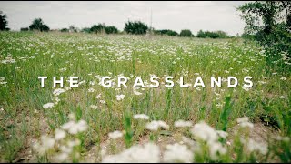 The Grasslands Aledo Texas [upl. by Oatis]