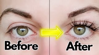 How To Apply Lash Clusters For Beginners  How To Apply Cluster Lashes Professionally  Brandi Sharp [upl. by Flagler]