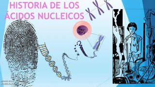 HISTORIA DE LOS ÁCIDOS NUCLEICOS [upl. by Hallock751]